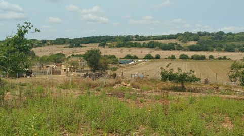 Finca con vistas panoramicas, immagine 5