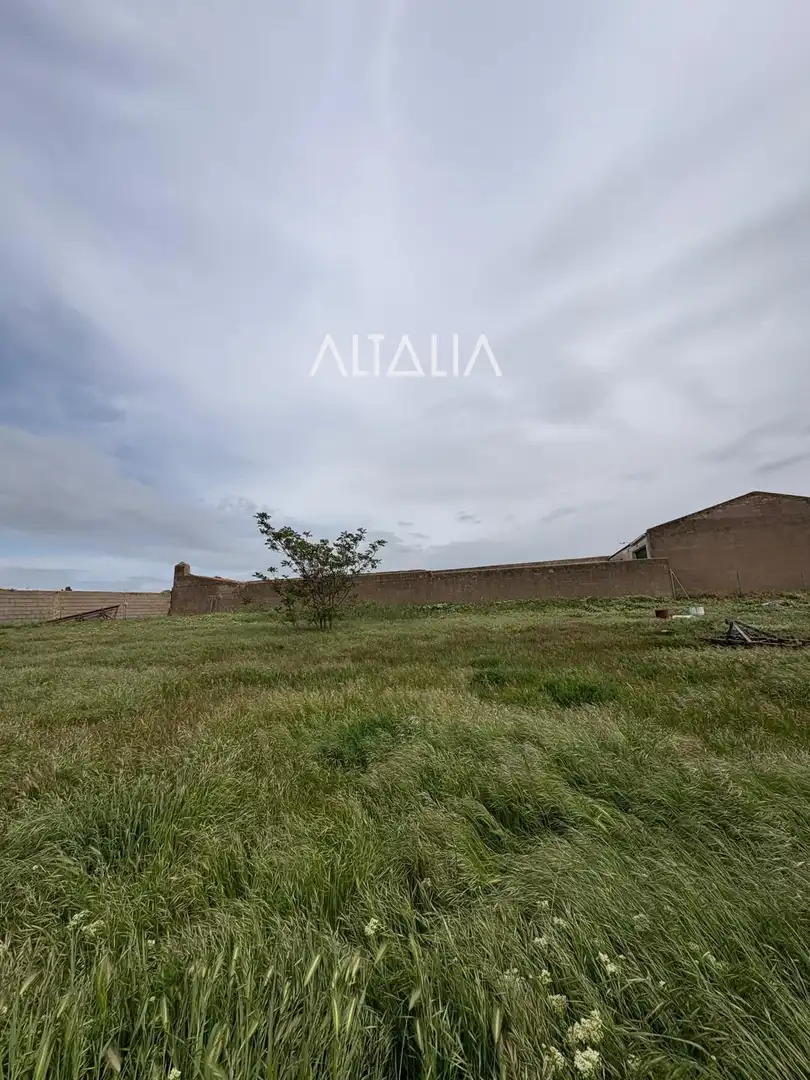 Land for sale in Cervera del Llano