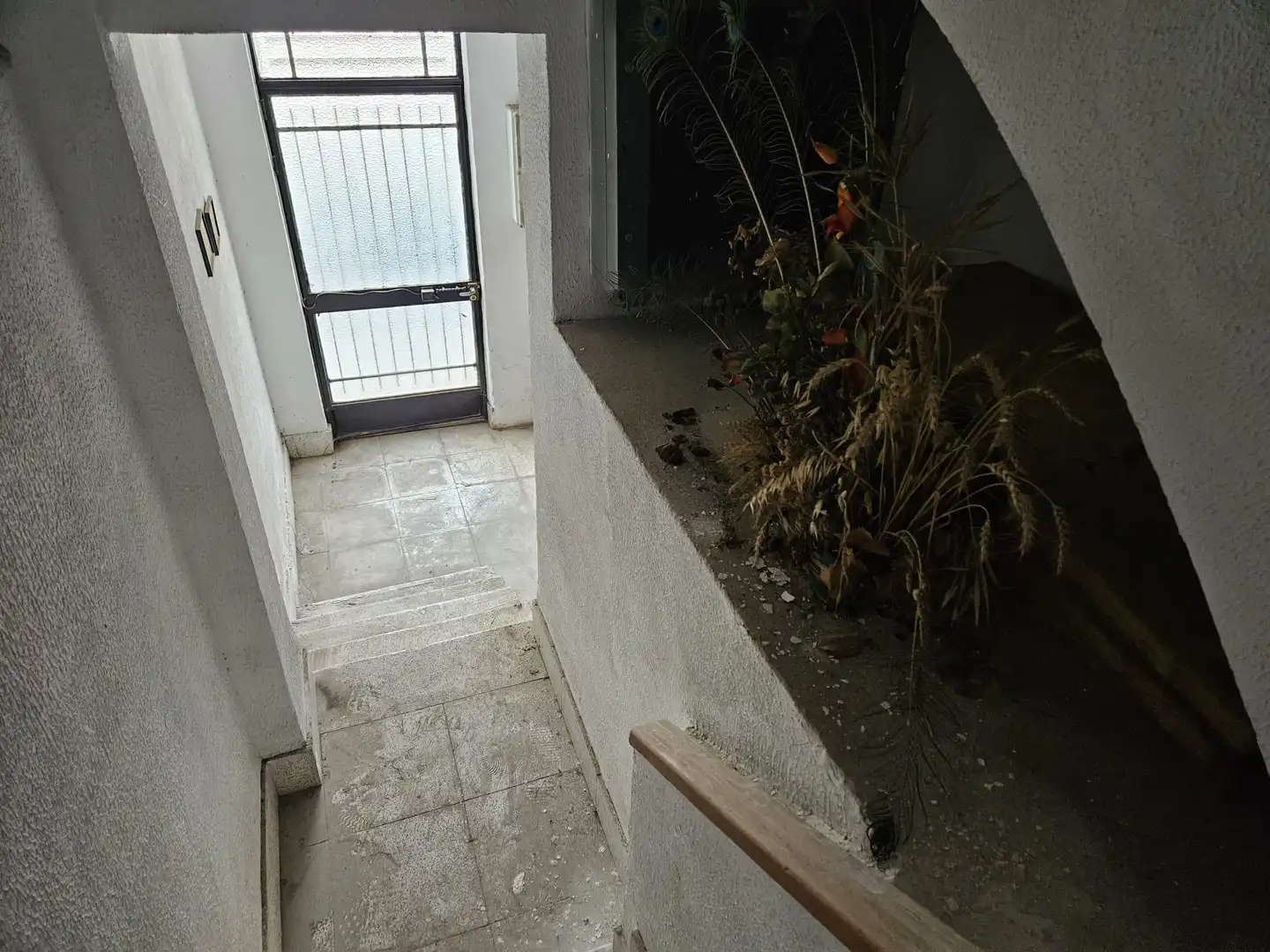 Business premises for sale in Fraternidad, imagen 12