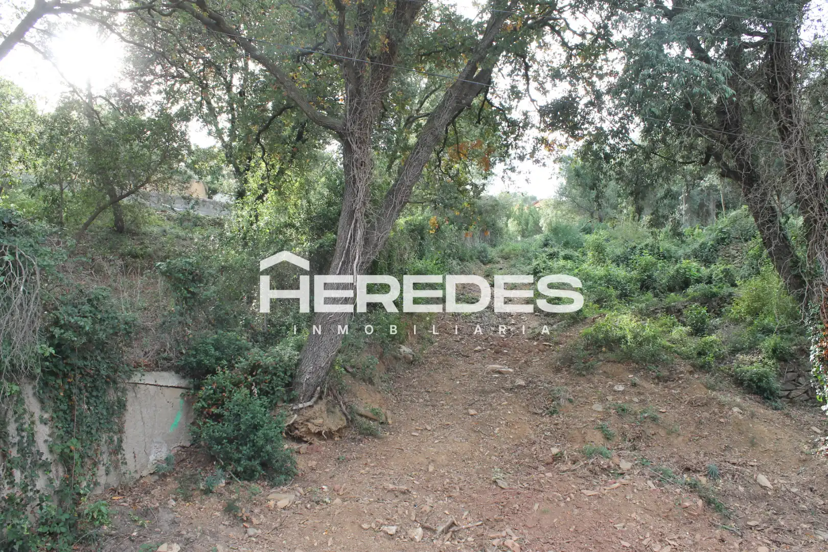 Terreno residencial en venta en Carrer dels Salzes 9, imagen 13