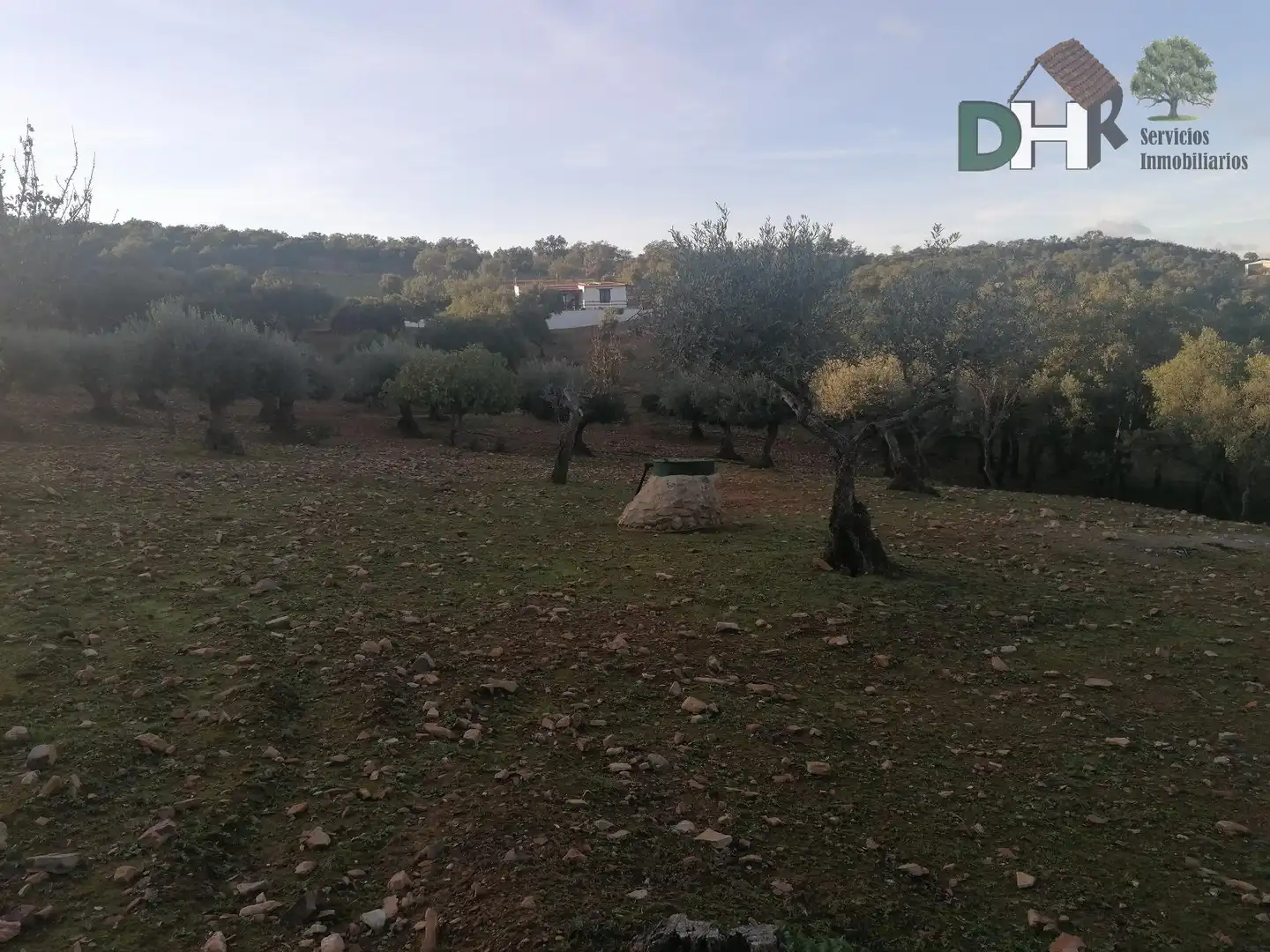 Finca rústica en venta en Estación Arroyo Malpartida