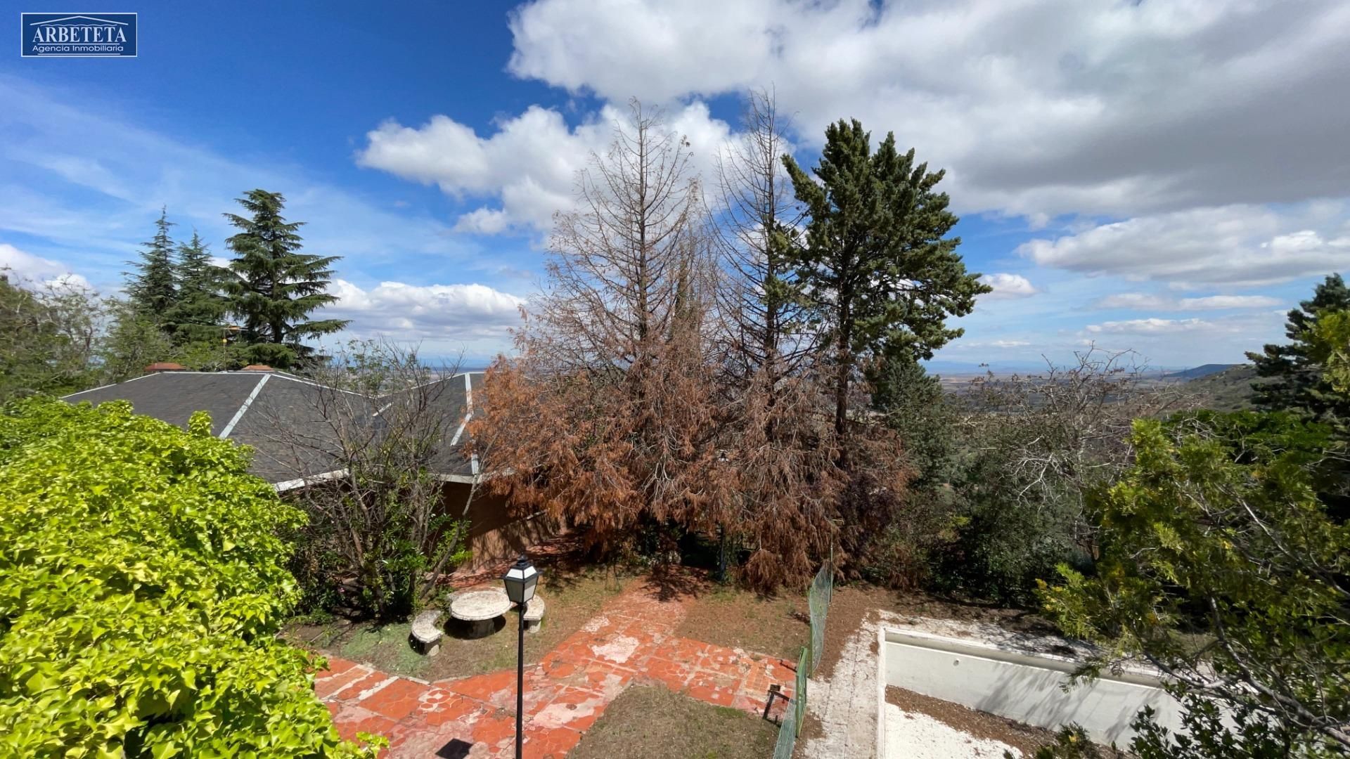 Jardí de Casa o xalet en venda en Guadalajara Capital amb Calefacció, Jardí privat i Terrassa
