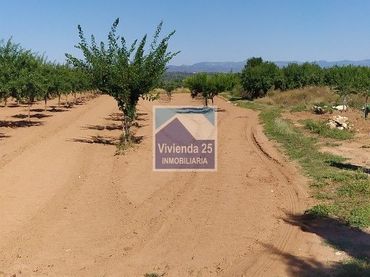 Terreno residenziale in vendita a Vilafamés