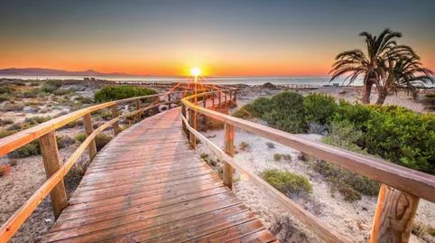 Photo 3 of Apartments for rent in Escandinavia, Gran Vista - Olivo de Oro, Santa Pola