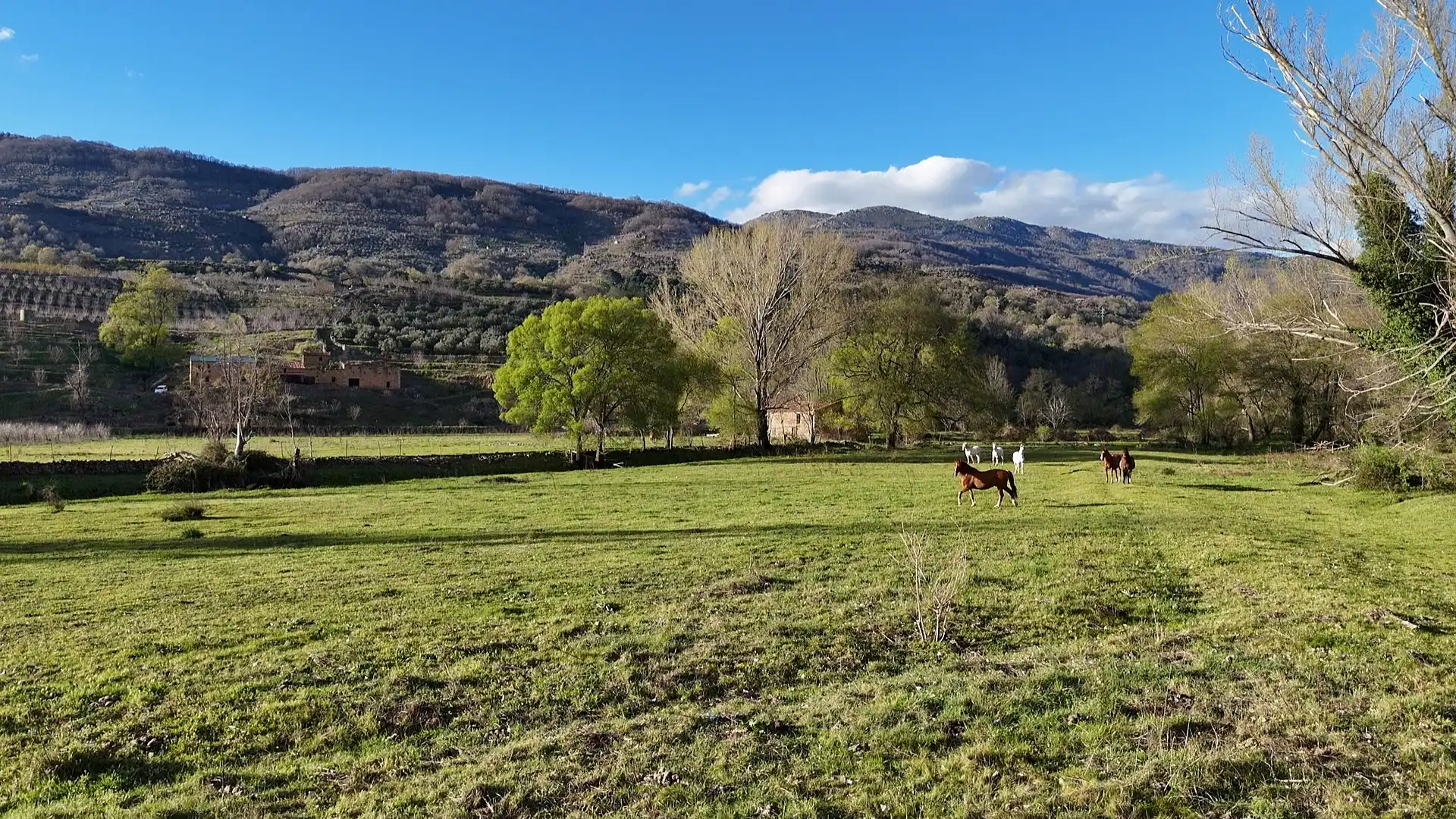 Vista exterior de Terreno en venta en El Torno 