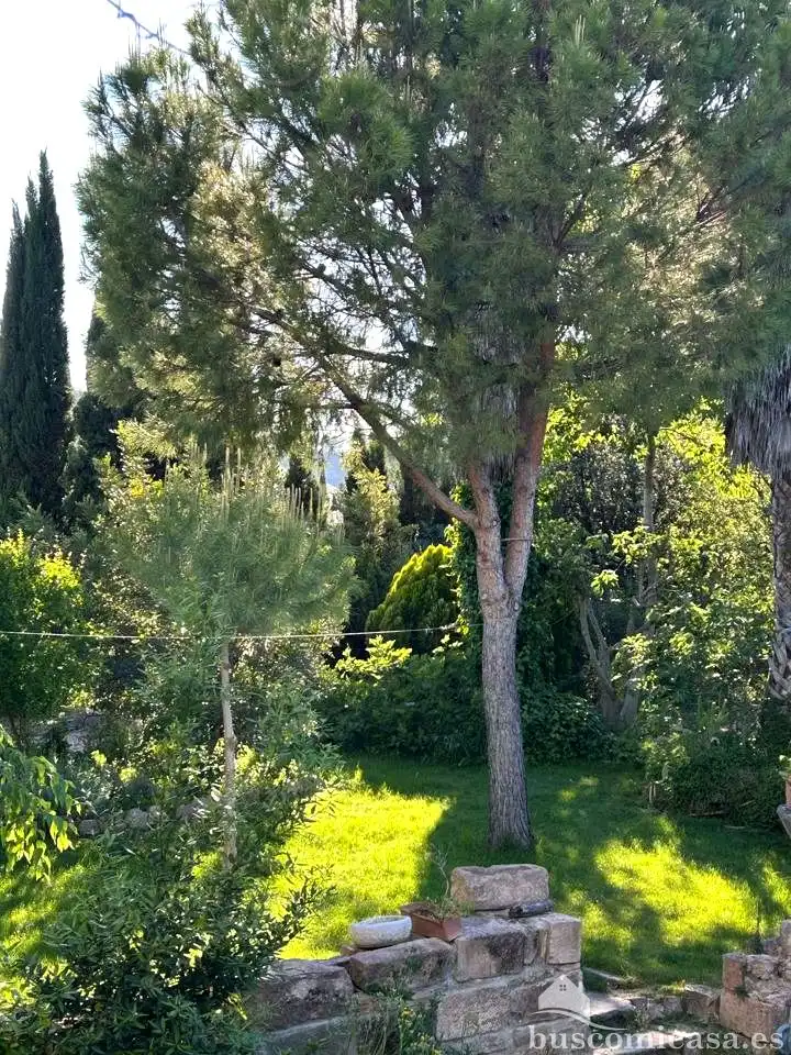 Jardí de Casa adosada en venda en Linares amb Aire condicionat, Jardí privat i Terrassa
