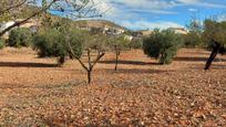 Finca rústica en venda en Lubrín amb Terrassa