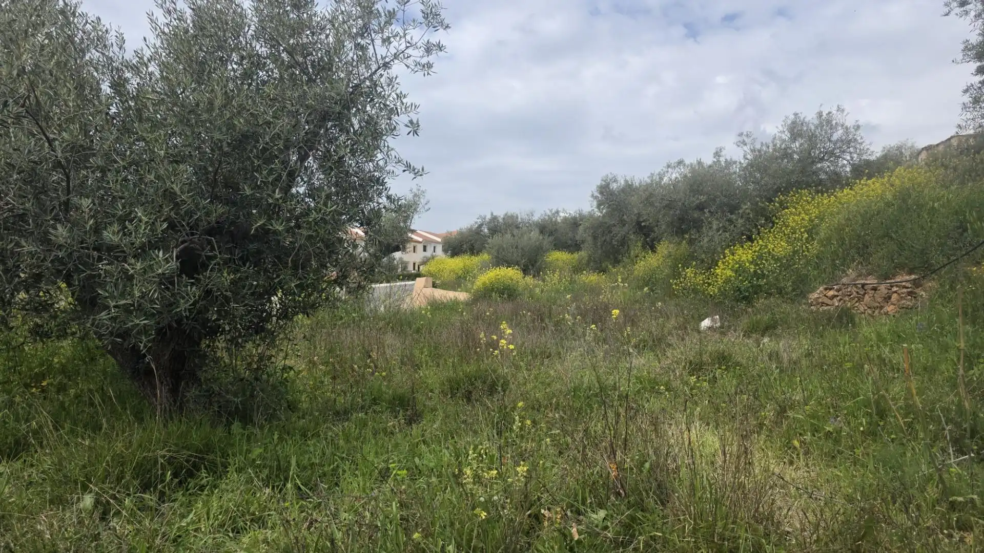 Country homes for sale in Laujar de Andarax