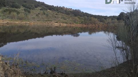 MéridaTerreno, immagine 3