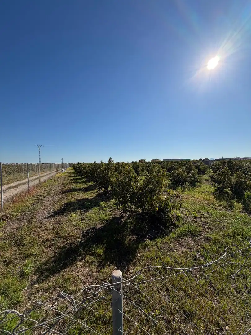 Terreno en venta en Piles