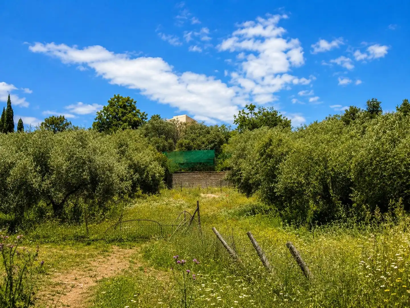 Finca rústica en venta en Monachil pueblo