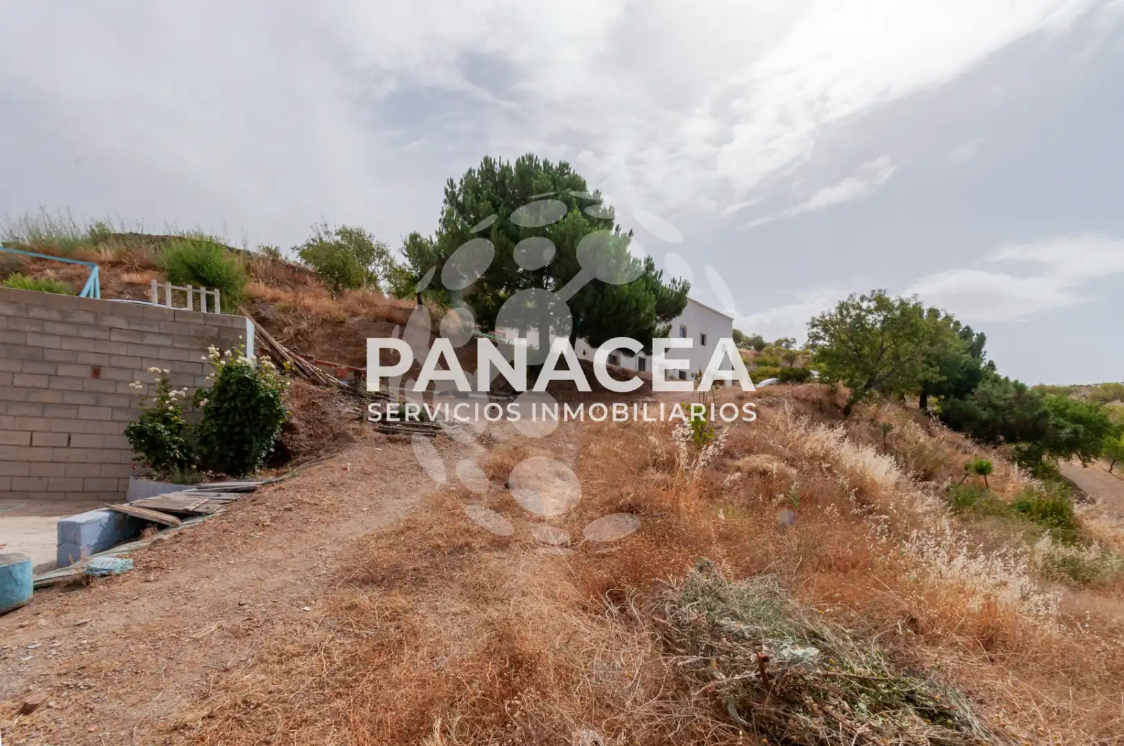 Casa o xalet en venda en Almegíjar amb Moblat, Forn i Microones