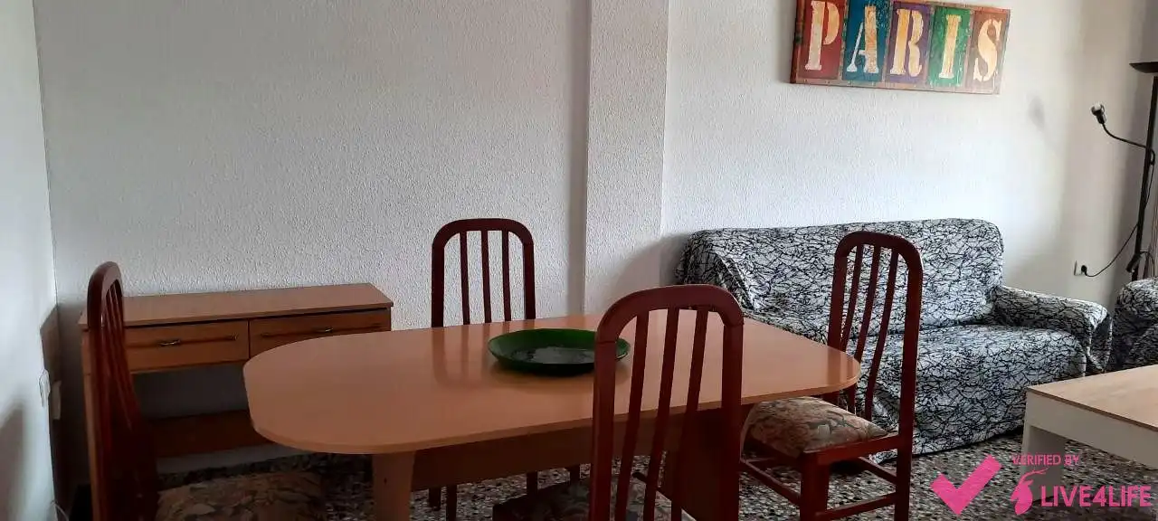 Wohnung zur Miete in calle de la Independencia, Zona Campus Universitario