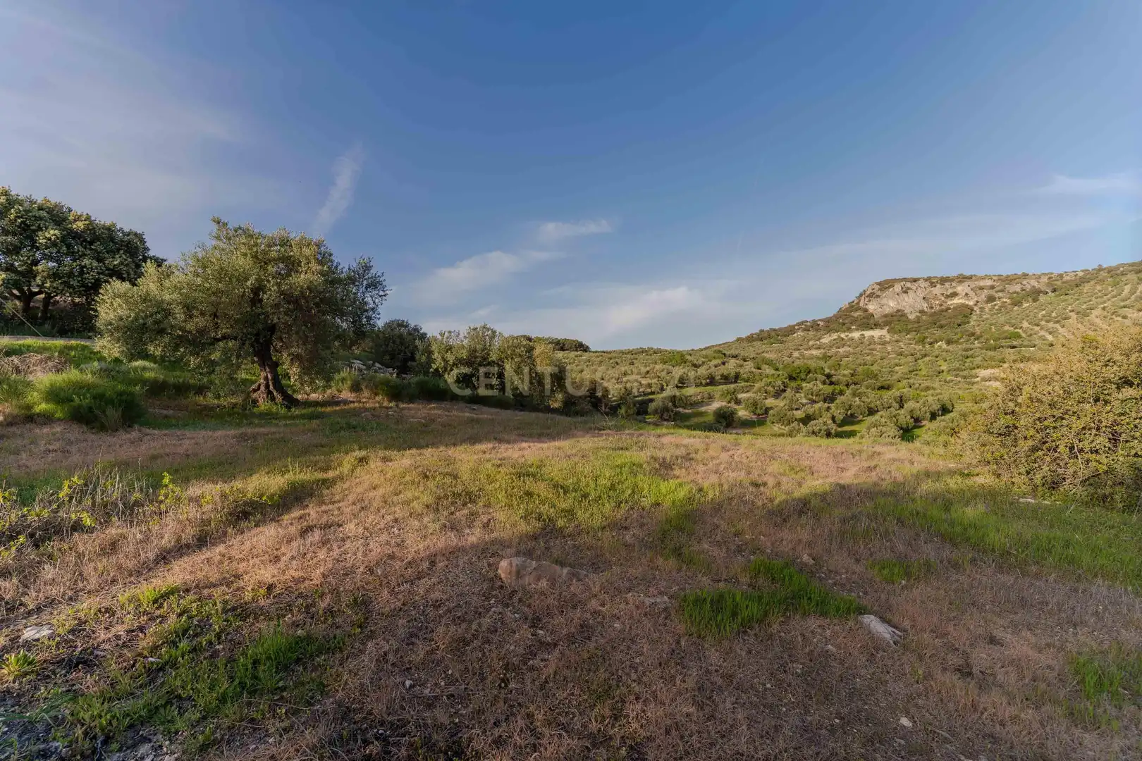 House with pool for sale in 18260 Íllora, Spain, imagen 52