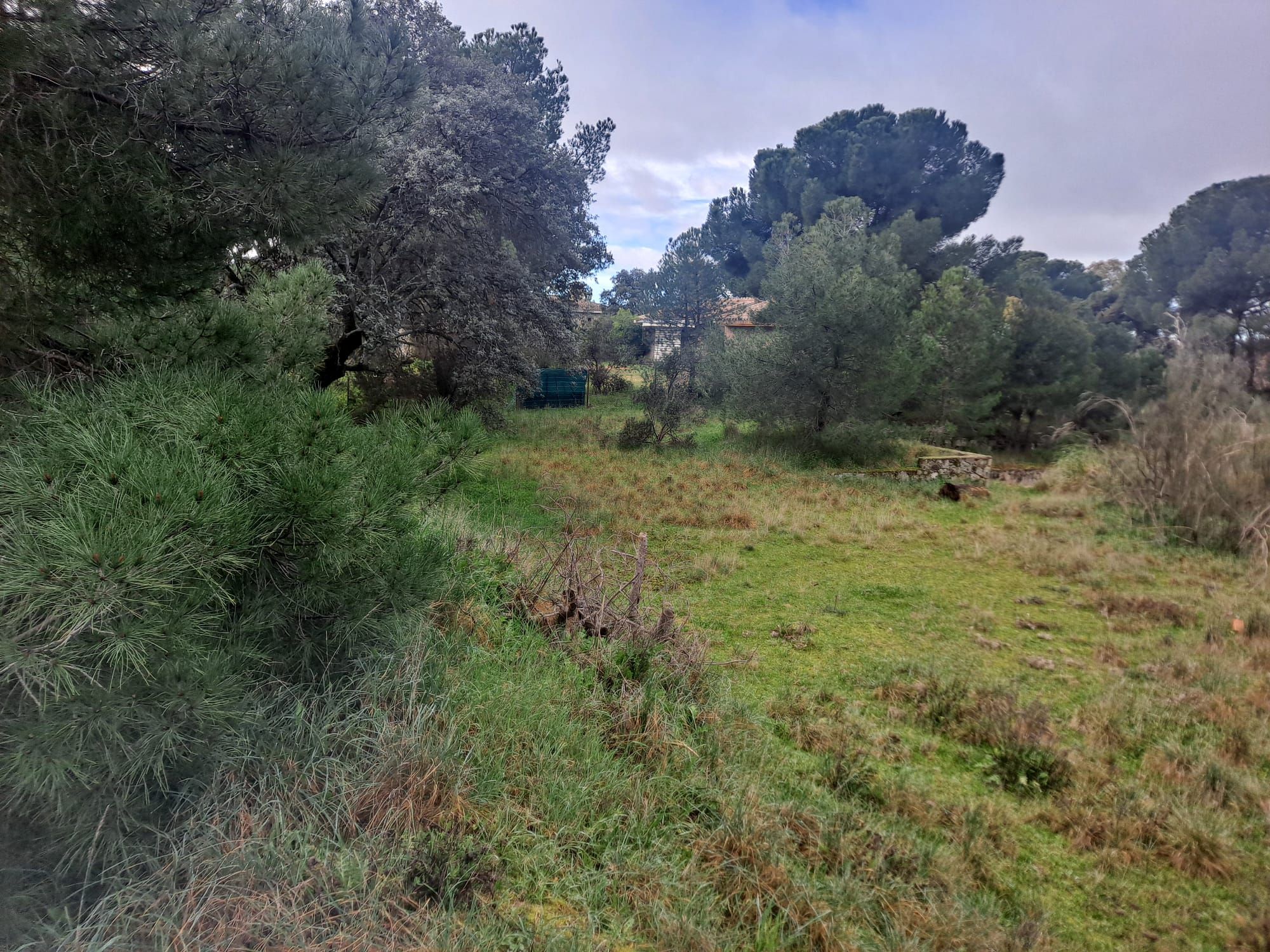 Residencial en venda en Boadilla del Monte