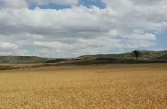 Rural land for sale in Tarazona, imagen 5