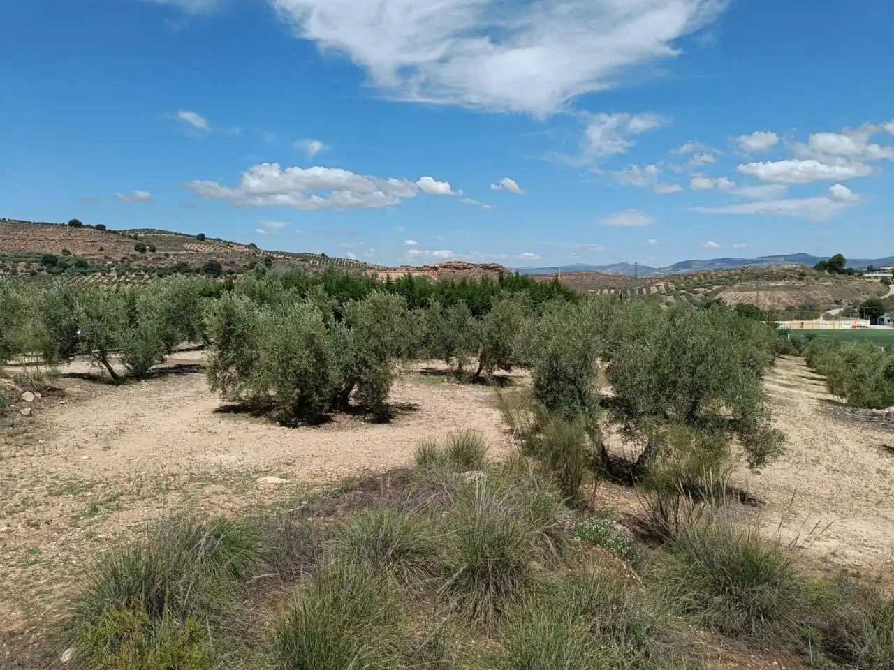 Country homes for sale in Moraleda de Zafayona  with Private garden, Swimming Pool and Furnished