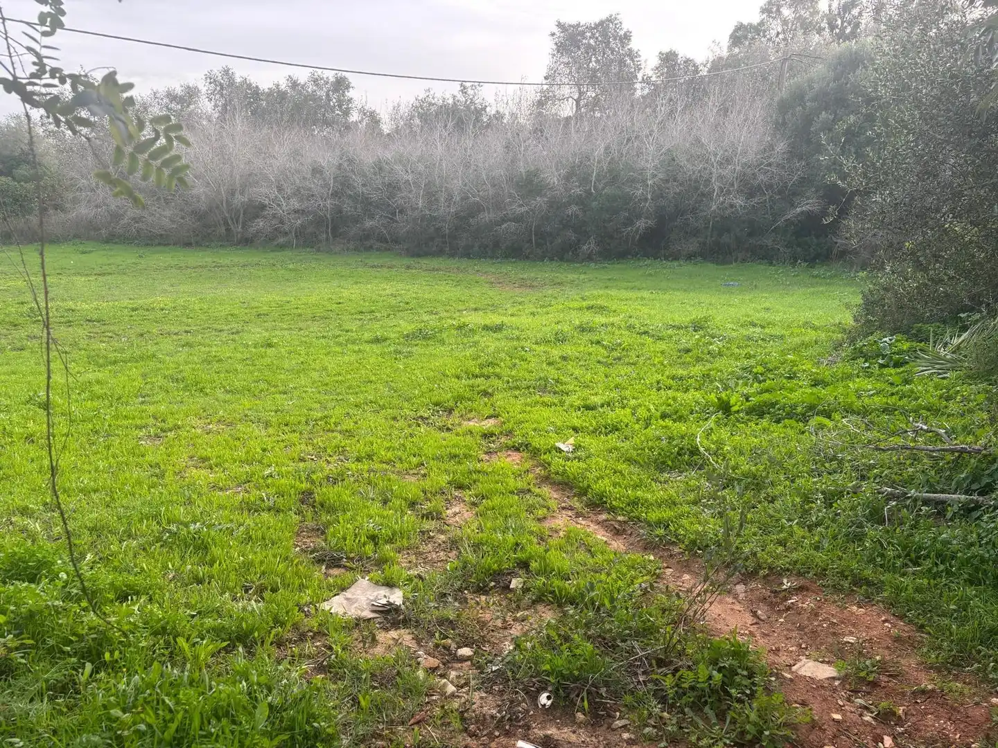 Terreno en venta en Vejer de la Frontera