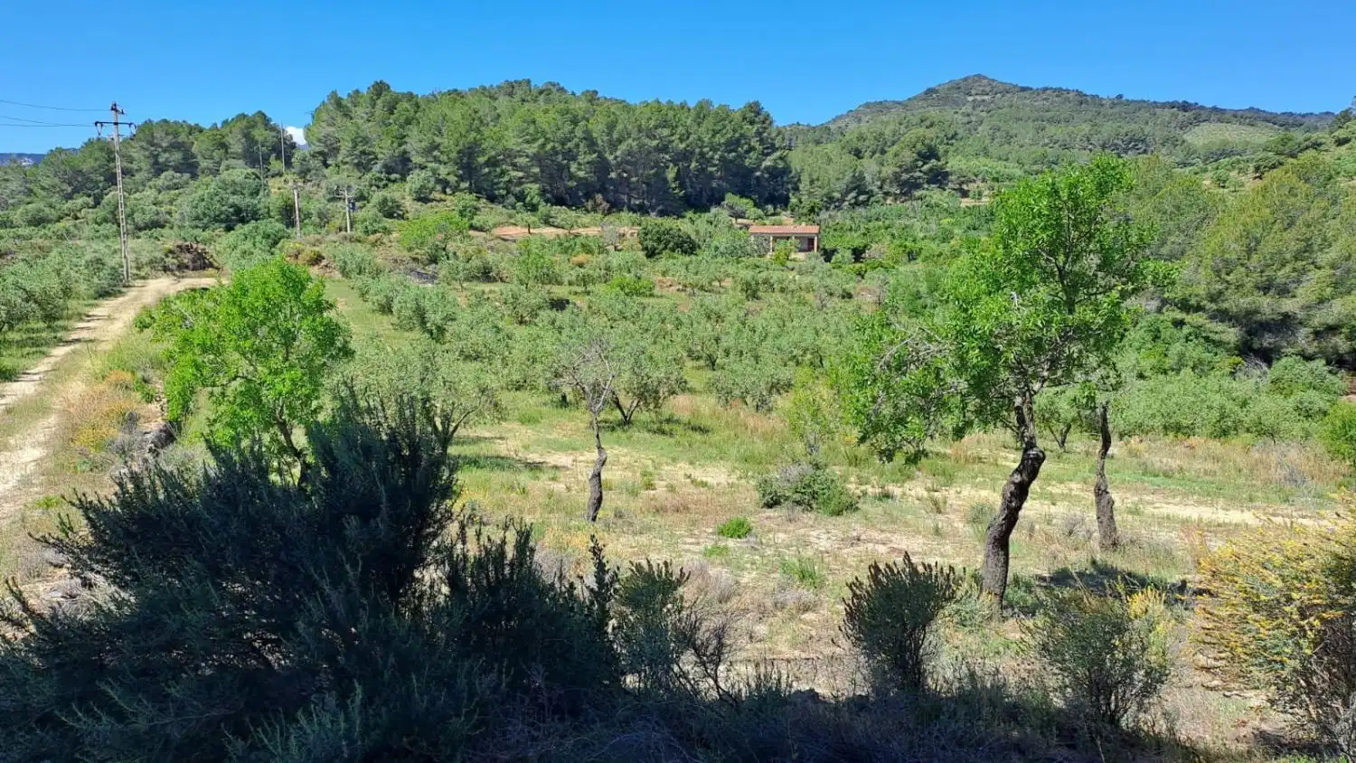 Finca rústica en venda en Riudecanyes