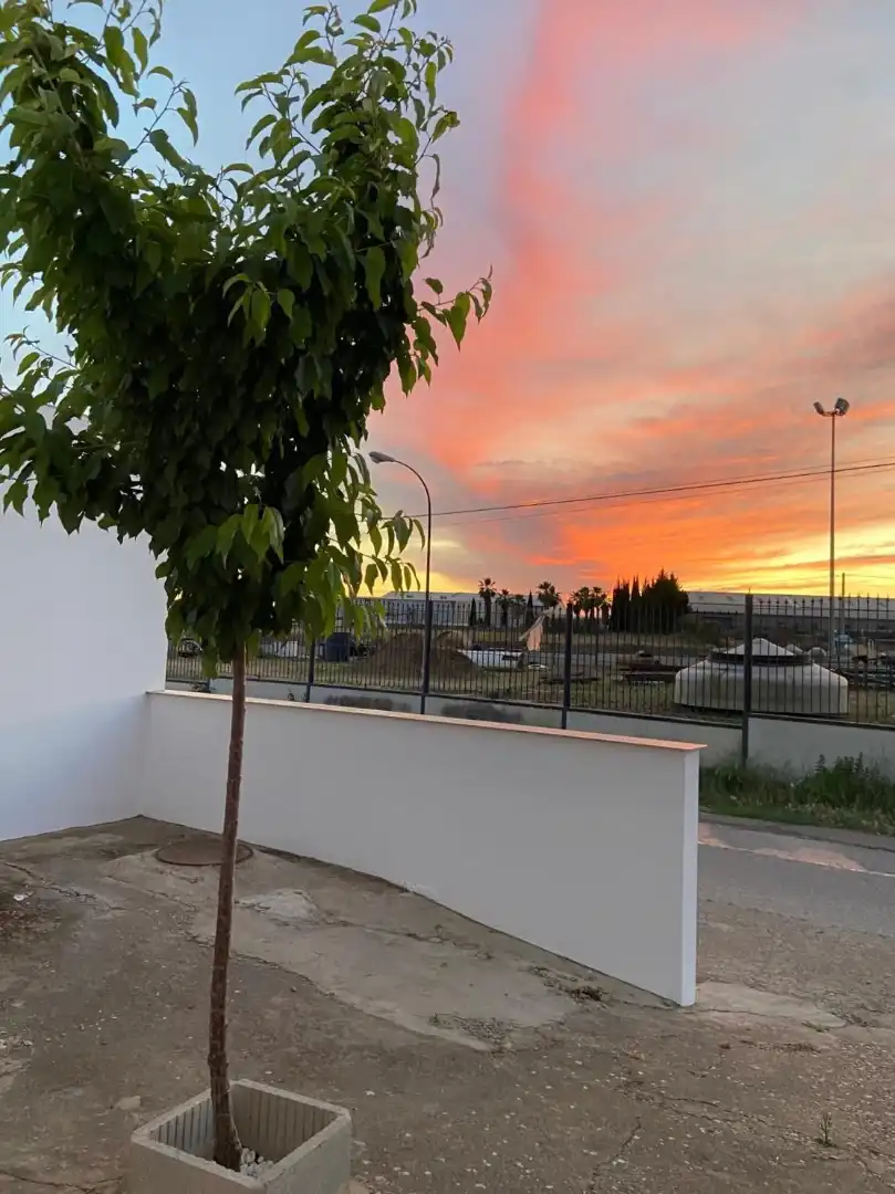 Nau industrial en venda a Calle Zarza, imagen 5