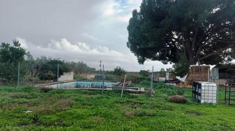Foto 5 de Finca rústica en venta en Bollullos de la Mitación, Sevilla