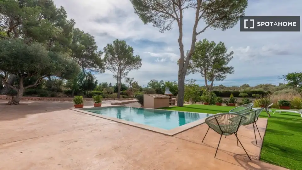 Swimming pool of Apartments for share in  Palma de Mallorca  with Air Conditioner, Terrace and Furnished
