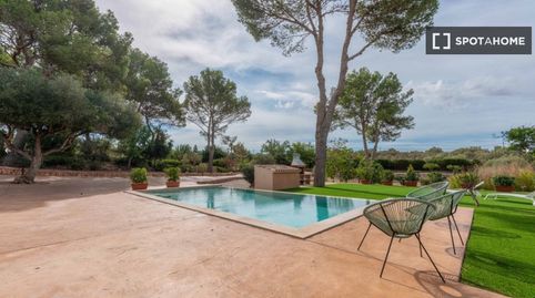 Photo 3 of Room in S'Aranjassa, Palma de Mallorca