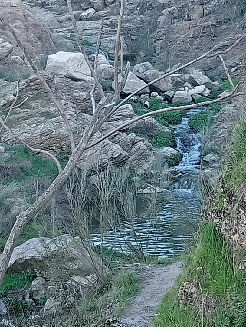 Jardí de Dúplex de lloguer en Candeleda amb Aire condicionat, Moblat i Forn