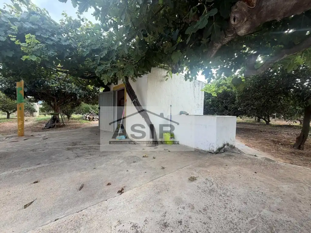 Houses for sale in Benicull de Xúquer