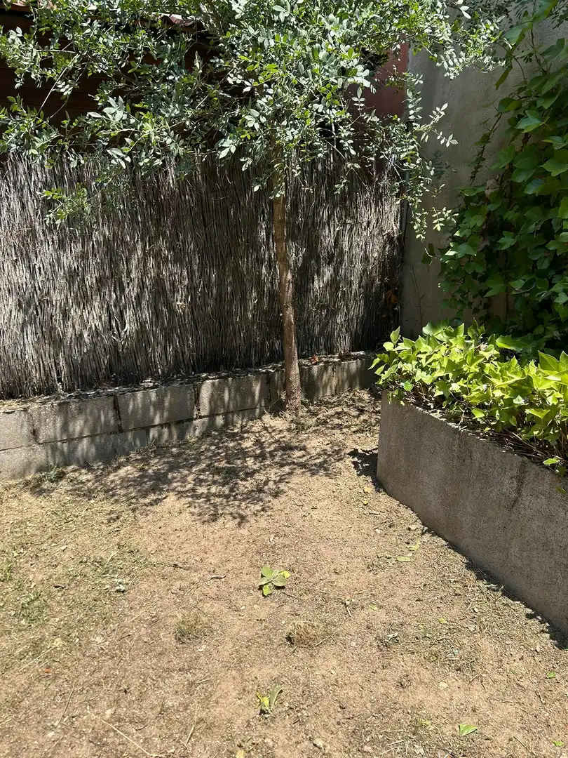 Jardín de Casa o chalet en venta en Colmenarejo con Calefacción, Jardín privado y Terraza