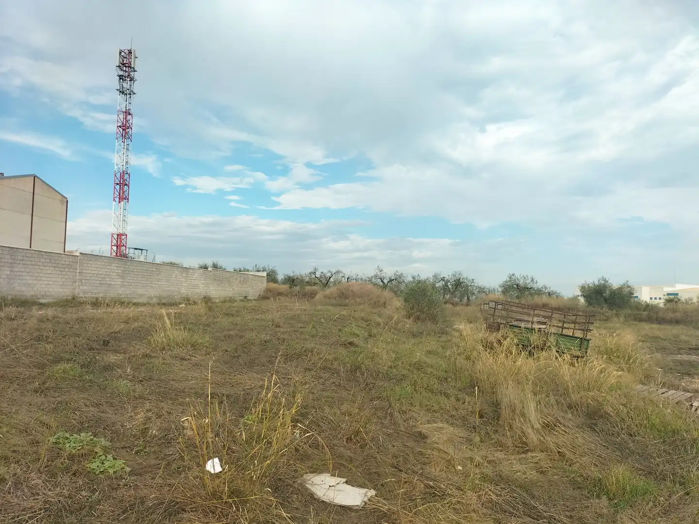 Terrenos y solares en venta en Olivares