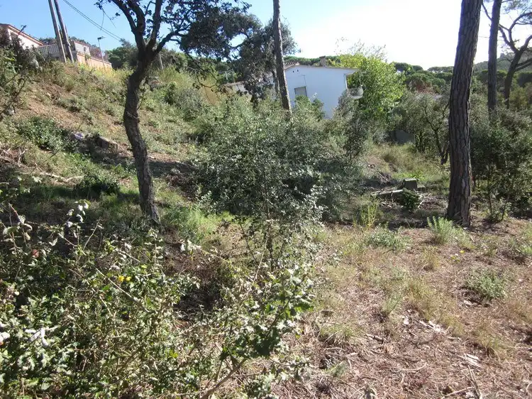 Terreno rústico en venta en Terrafortuna - Puig Ventós, imagen 11