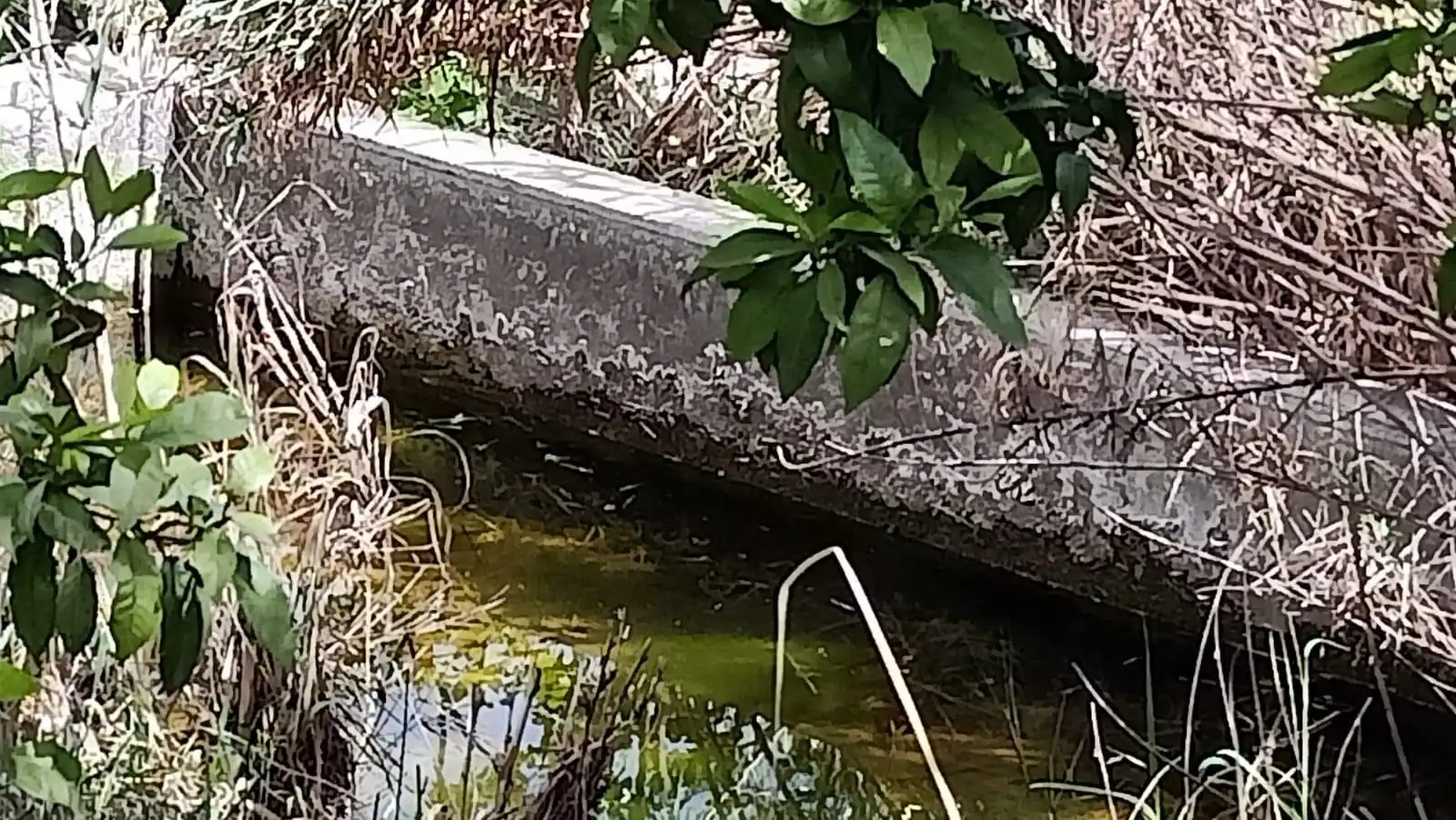 LÚCAR  ALMERÍA , TERRENO URBANO CON AGUA ., imatge 3