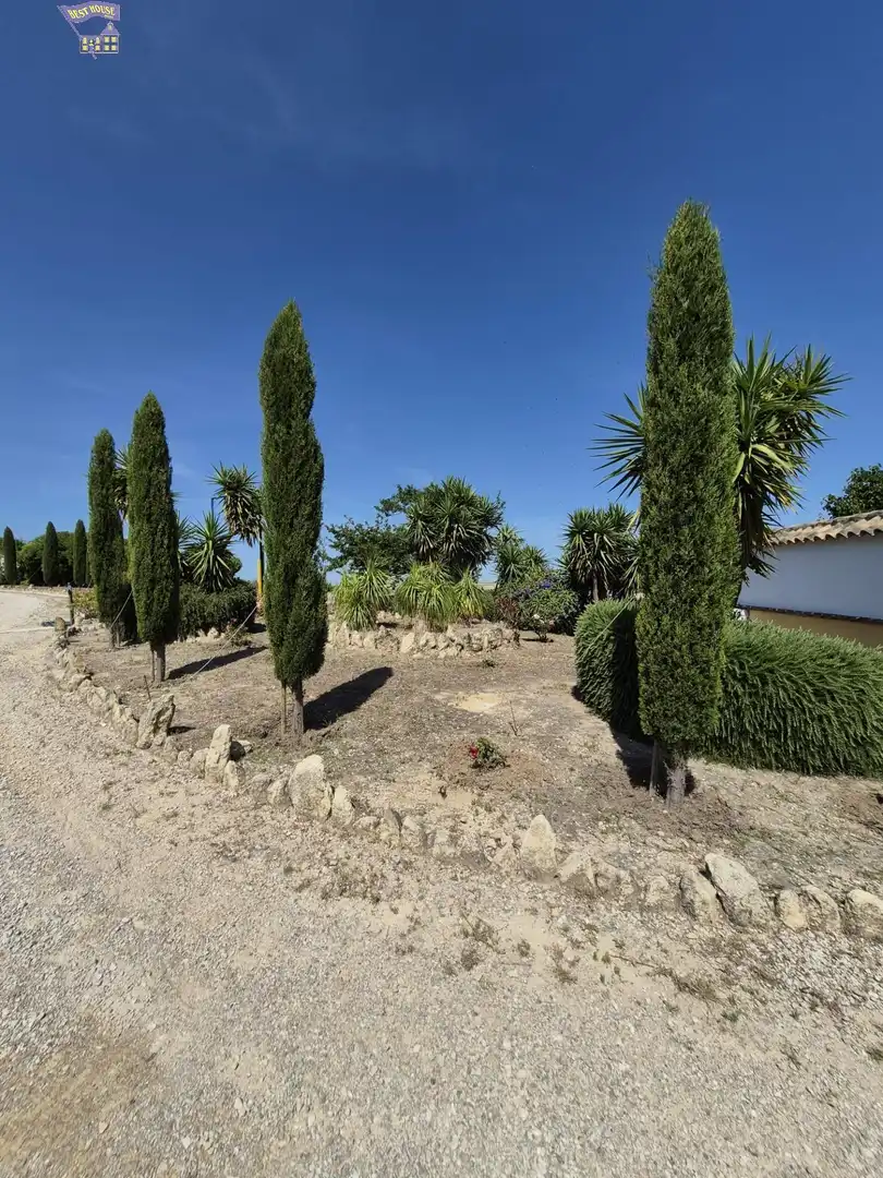 Casa rústica amb jardí en venda a Arcos de la Frontera, imagen 4
