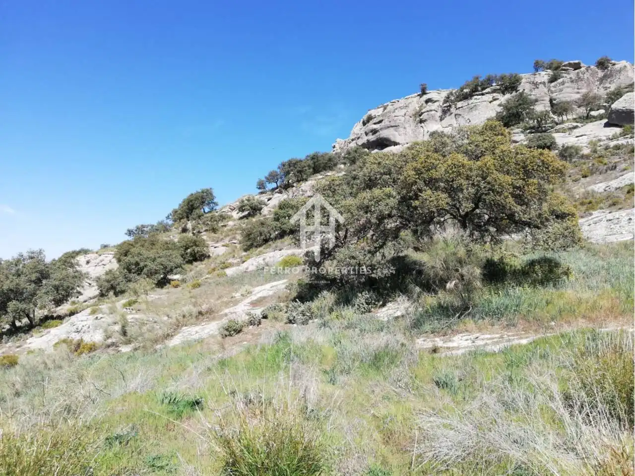 Finca rústica en venta en Zagra