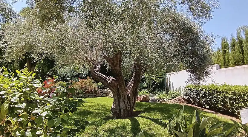Villa mit Pool zum Verkauf in Pedreguer, imagen 38