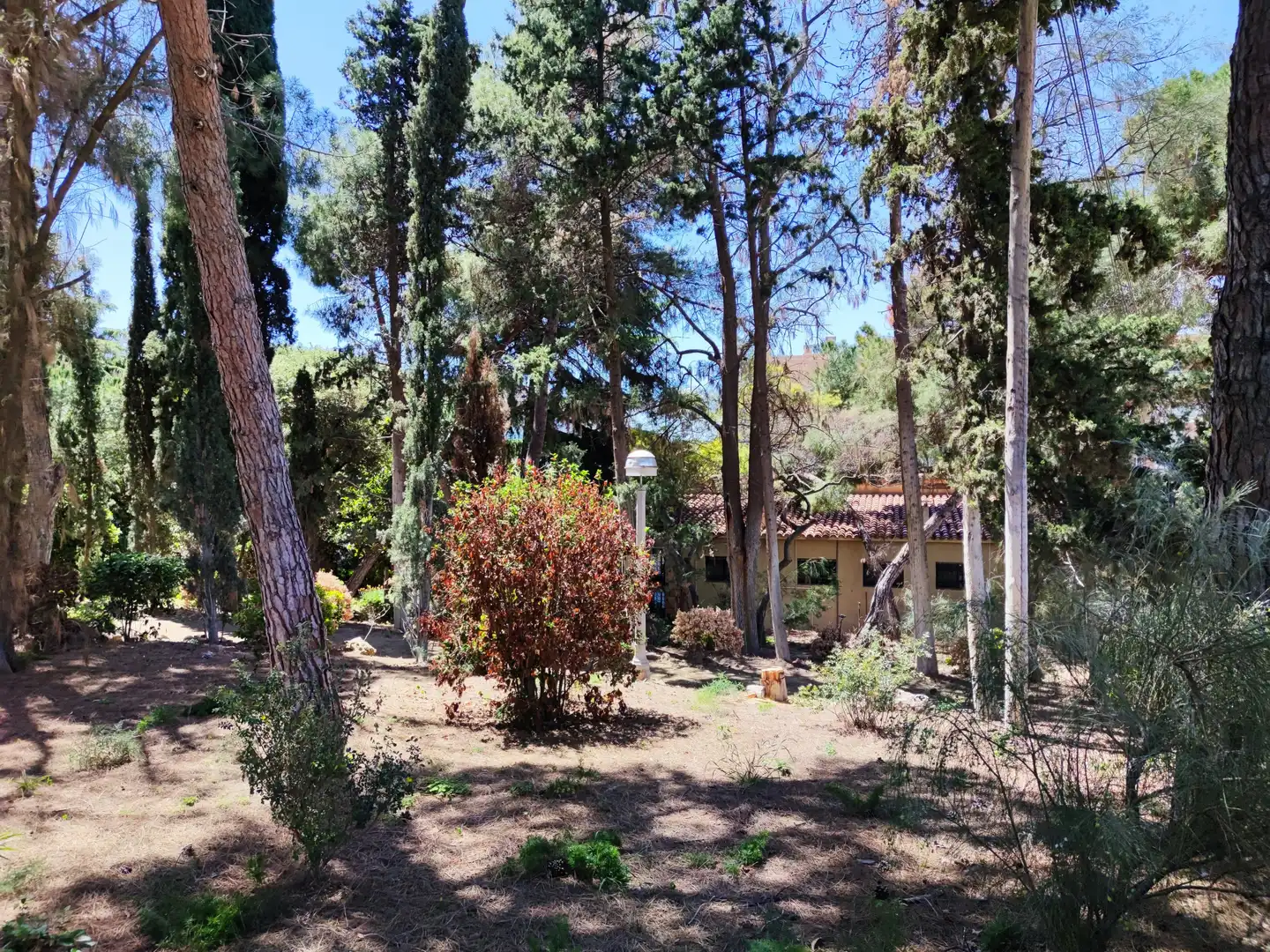Jardí de Residencial en venda en Mataró
