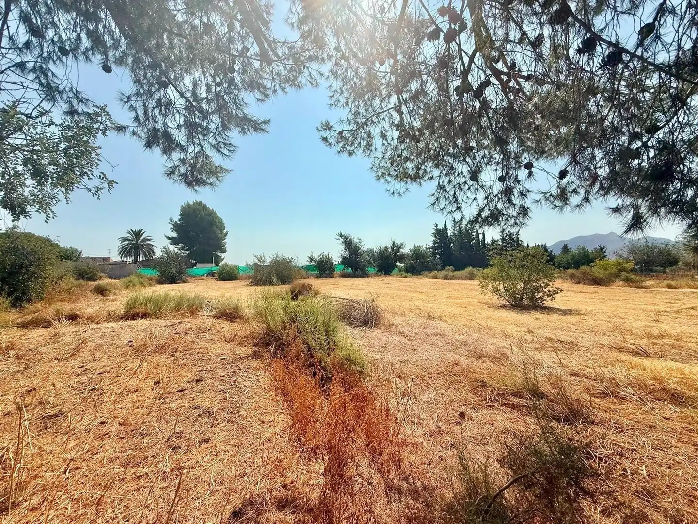 Terrenys i solars en venda a Barrio de los Campirulos 1, imagen 8