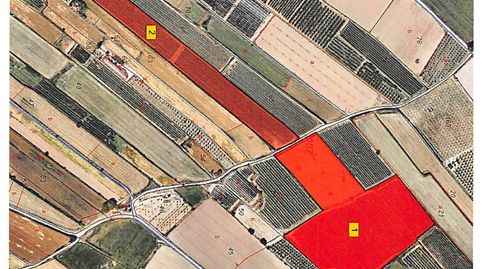FINCA DE REGADIU (CANAL D'URGELL) PLANTADA DE FRUITERS, immagine 2