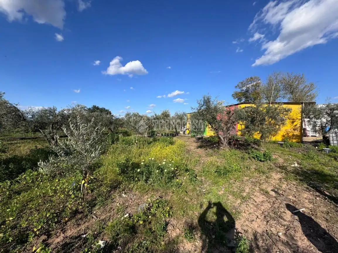 Country homes for sale in Torreblanca