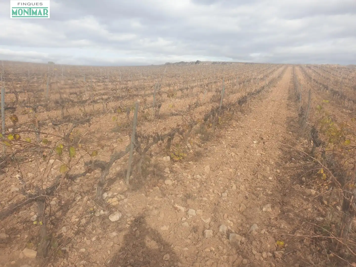 Finca rústica en venda en Vilafranca del Penedès
