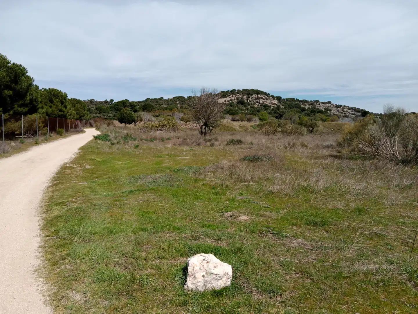 Terreno rustico in vendita a Camino Barzales, imagen 3