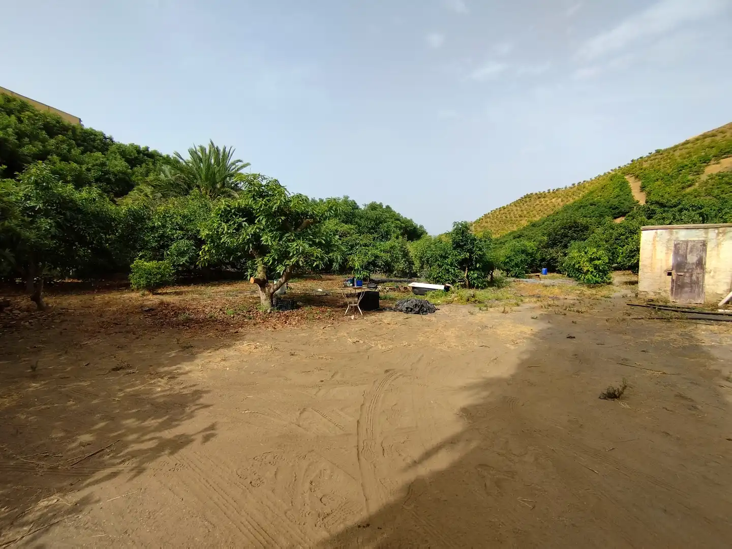 Terreno rustico in vendita a Diseminado Real Alto, imagen 3