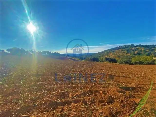 Lands and plots for sale in Fuente Obejuna, imagen 5