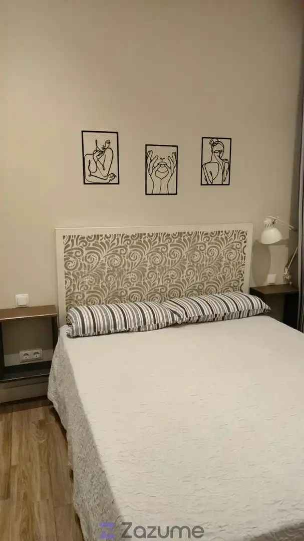 Piso de alquiler en P.º de la Dirección, Berruguete