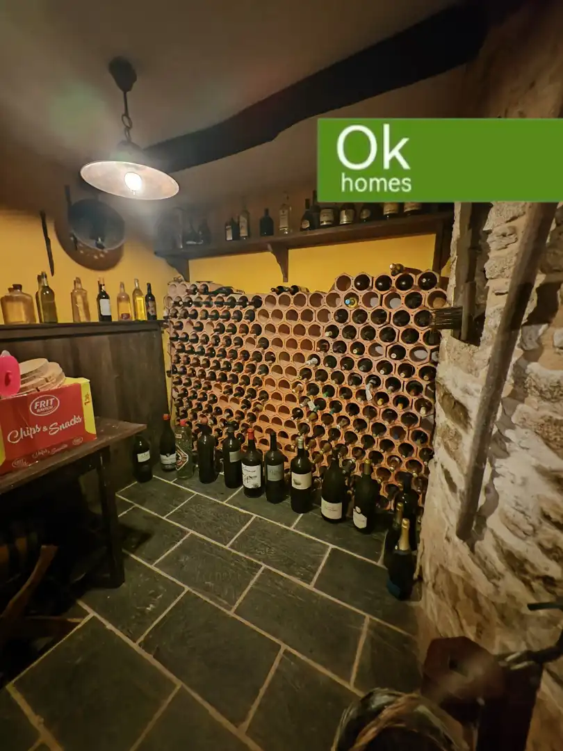 Casa rustica con terrazza in vendita a Outeiro de Rei, imagen 39