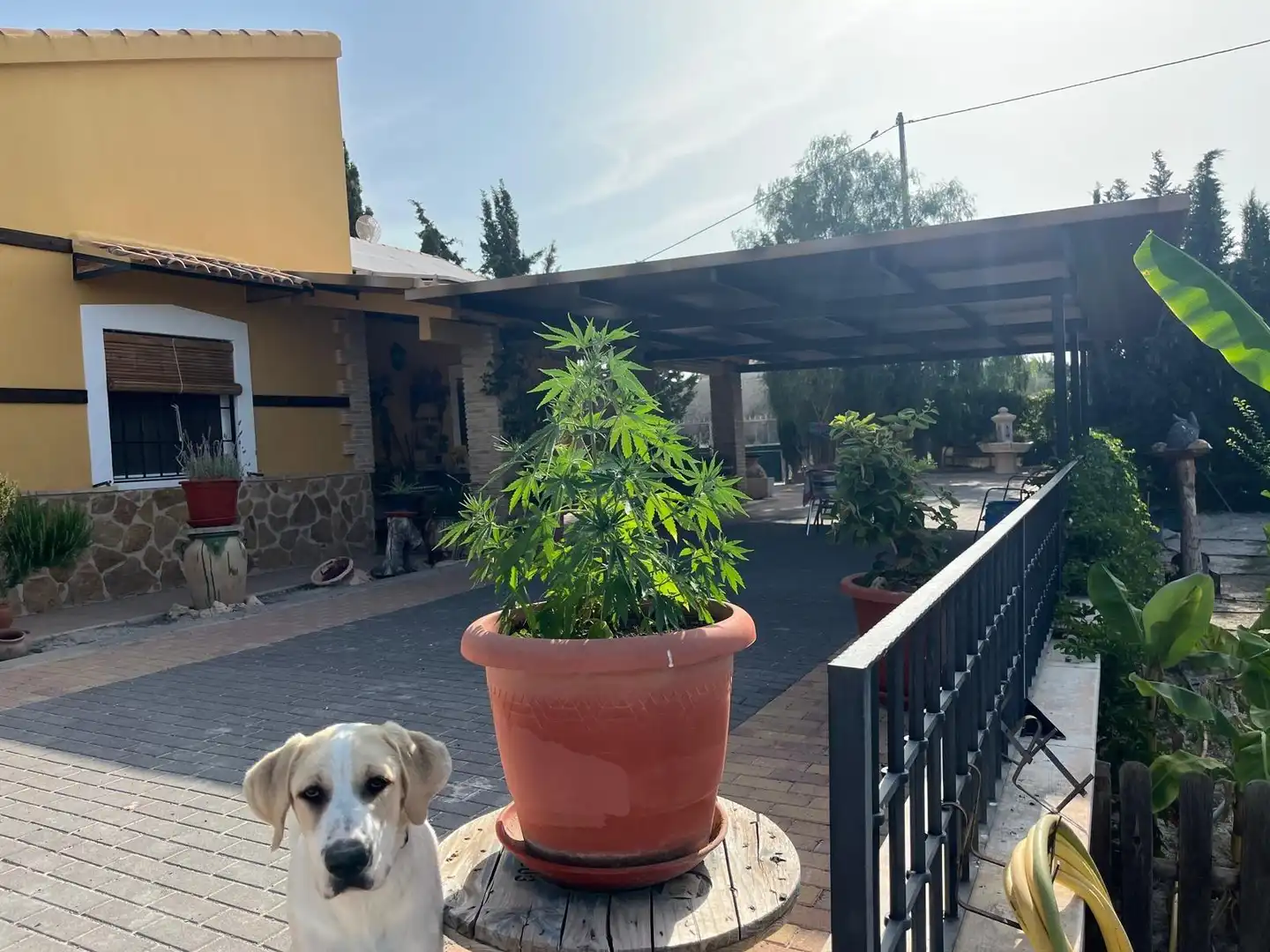 Vista exterior de Casa o chalet en venta en Murcia con Aire acondicionado, Calefacción y Terraza