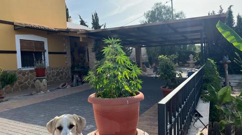 Photo 5 of House or chalet for sale in El Esparragal, Murcia