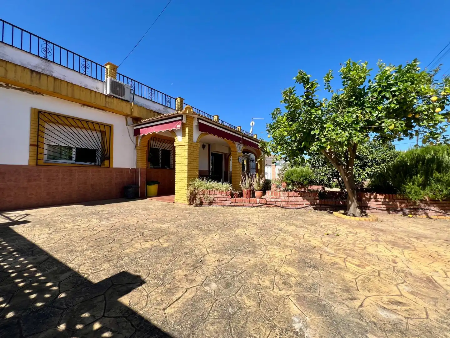 Houses for sale in Alcolea