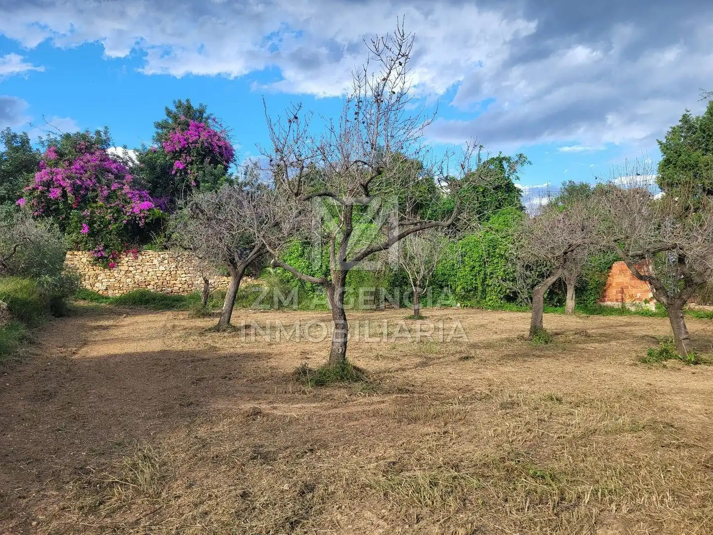 Terreno rustico in vendita a Traiguera, imagen 9